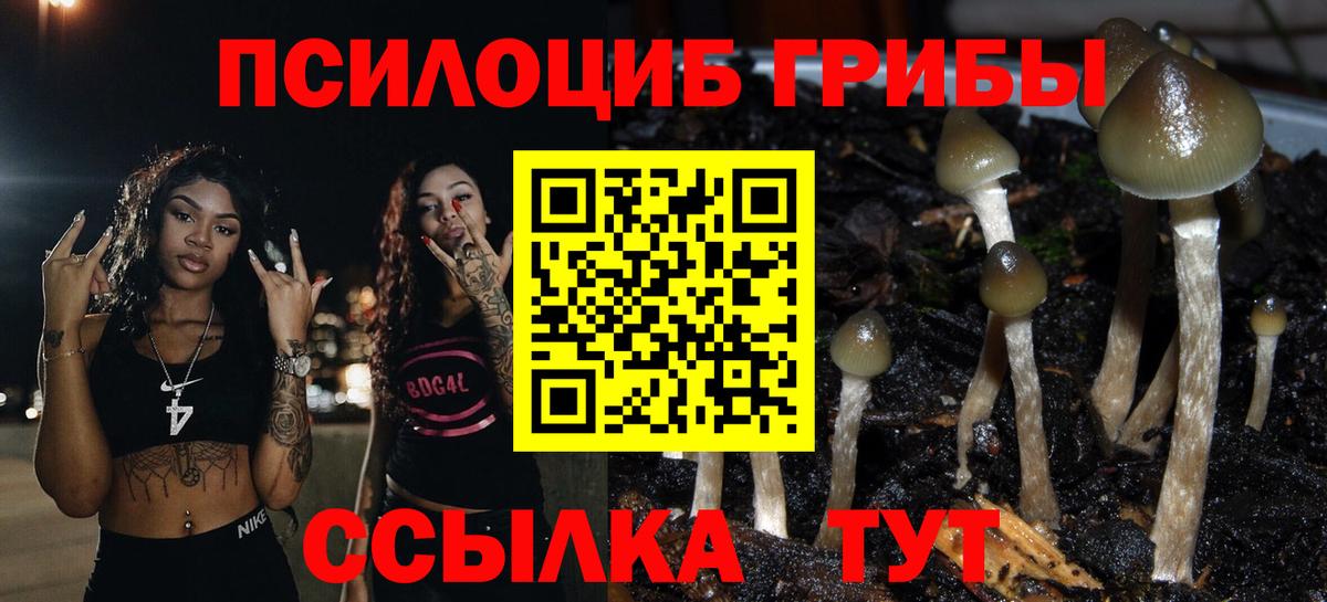 Галлюциногенные грибы мицелий Алапаевск