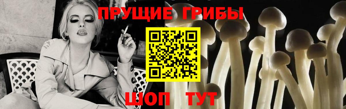Алапаевск  Галлюциногенные грибы MAGIC MUSHROOMS  где продают наркотики  Вход с VPN  Псилоцибиновые грибы мухоморы 